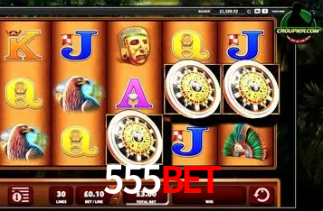 Interface Premium 555bet